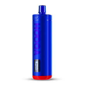 Nasty Hooqa DF15Ki - Blue Razz Ice Zaqqc5OZhbxIssqy6iimo2