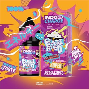 Indo Charge Ice - Electrified 30мл HARD ruSp73IIjwC8nSCmyNaac3