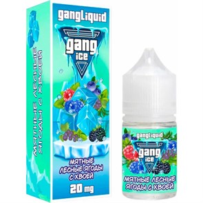 Gang ICE - Мятные Лесные Ягоды с Хвоей 30мл 20 B-PrIMZfj8isUGBygAX8Y1