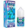 Gang ICE - Черничный Бабл Гам 30мл 20 ddcrcrbhiwfXT1OwvGIId0