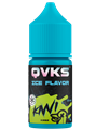 QVKS ICE - Киви 13мл VE40eViCggKs8KosHHirU1